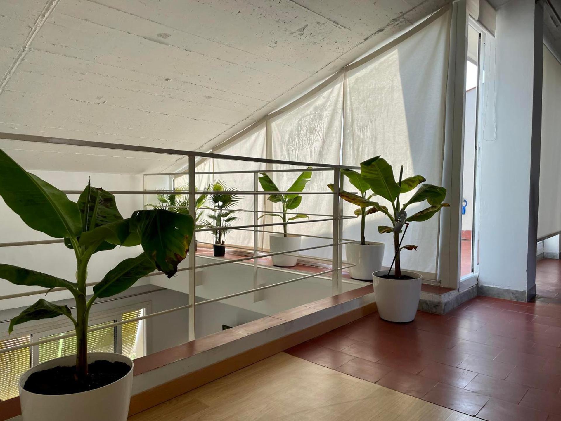 Apartamentos Port Marina Palamós Eksteriør billede