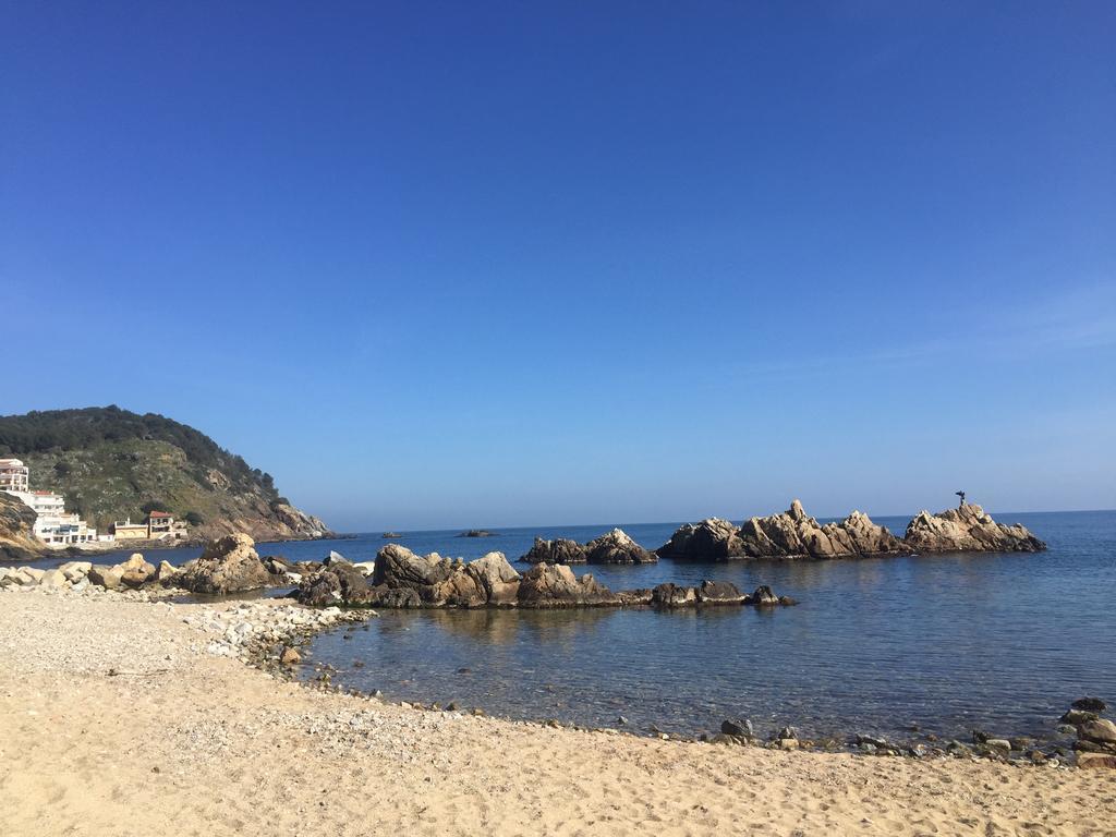 Apartamentos Port Marina Palamós Eksteriør billede